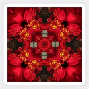 four square floral fantasy from a red hibiscus Sticker